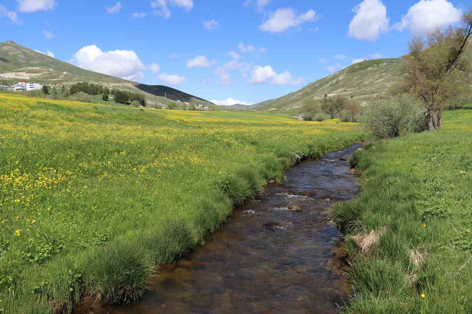 Sarı&ccedil;i&ccedil;ek K&ouml;y&uuml;&rsquo;nde 20 g&uuml;nl&uuml;k doğa ş&ouml;leni başladı
