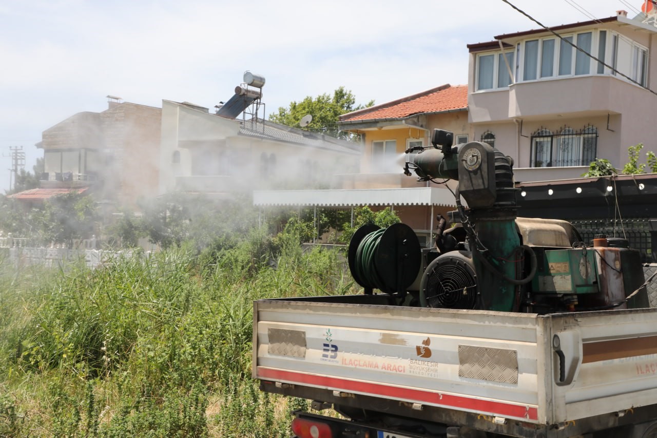 Sivrisinek, unutulan bir bardak suda bile &uuml;reyebiliyor
