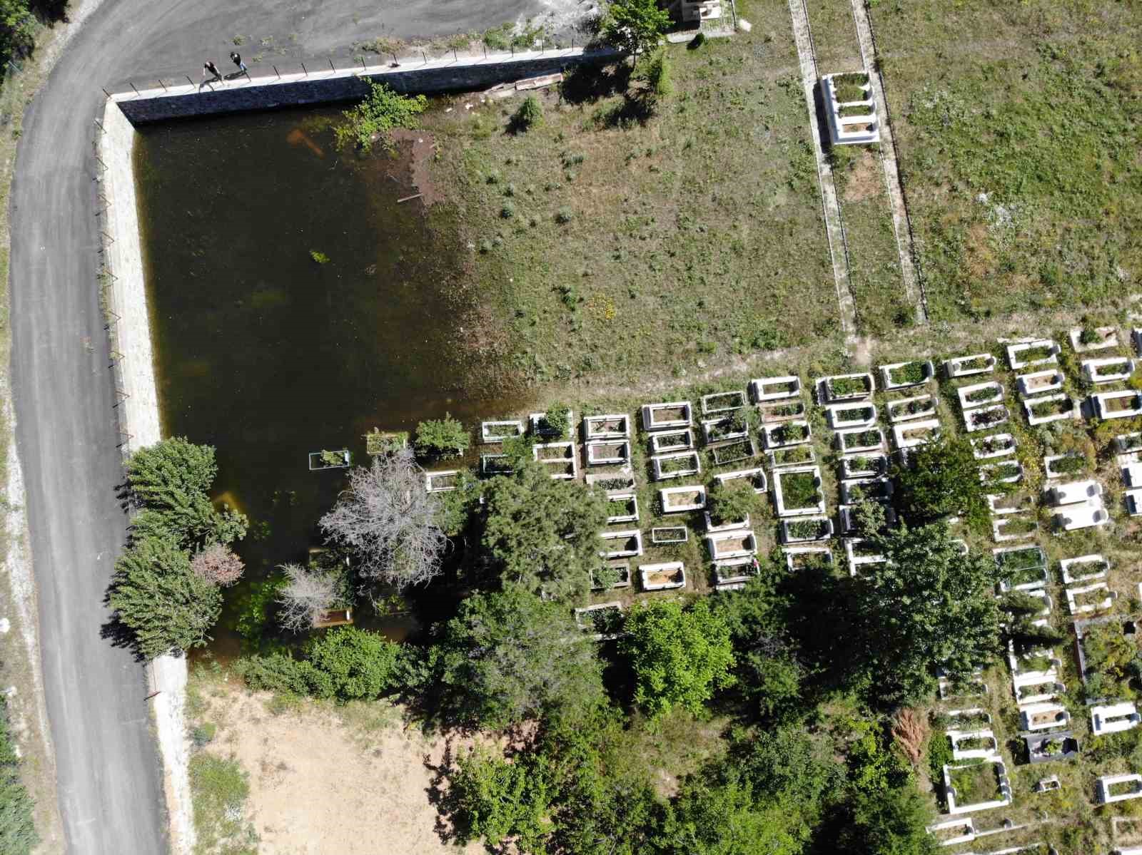 Baraj suları yükseldi mezarlıklar yine sular altında kaldı
