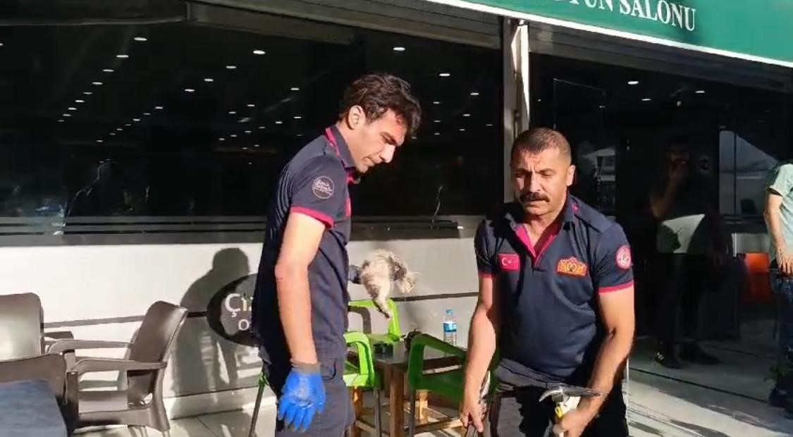 Saksının altına sıkışan &rsquo;Boncuk&rsquo; i&ccedil;in seferber oldular
