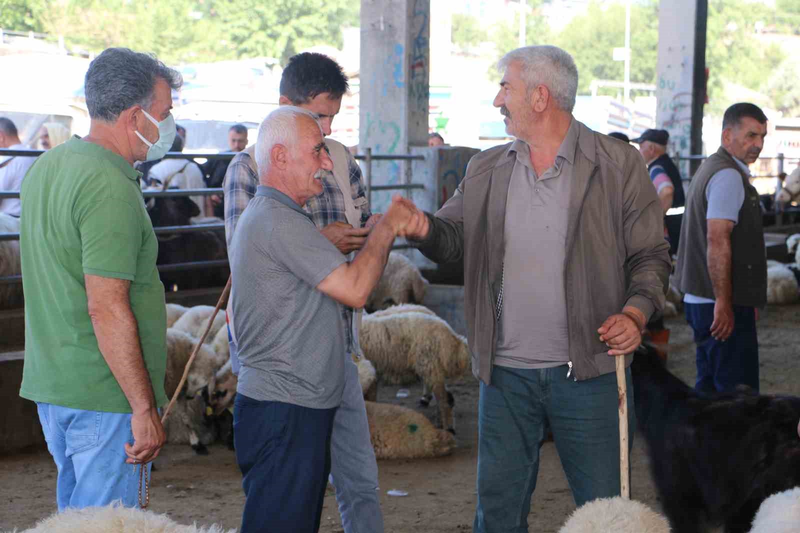 Diyarbakır’da 115 bin hayvan kurbanlık için satışa hazır
