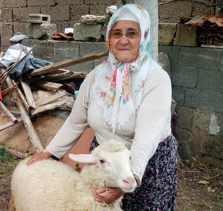 Yaşlı çifti kaza ayırdı 