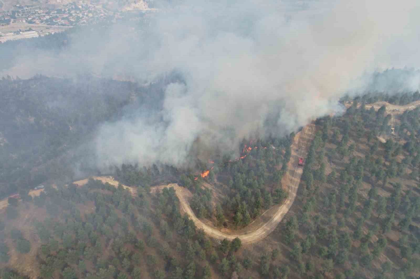 Denizli&rsquo;de yerleşim yerlerine yakın b&ouml;lgede orman yangını &ccedil;ıktı
