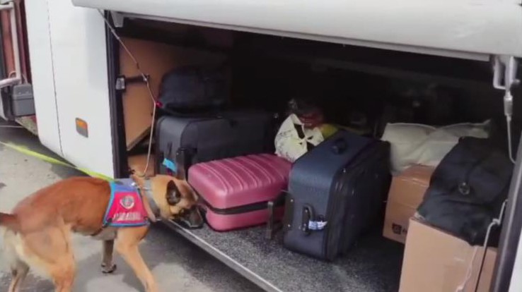 Ordu&rsquo;da uyuşturucu operasyonu: 1 tutuklama
