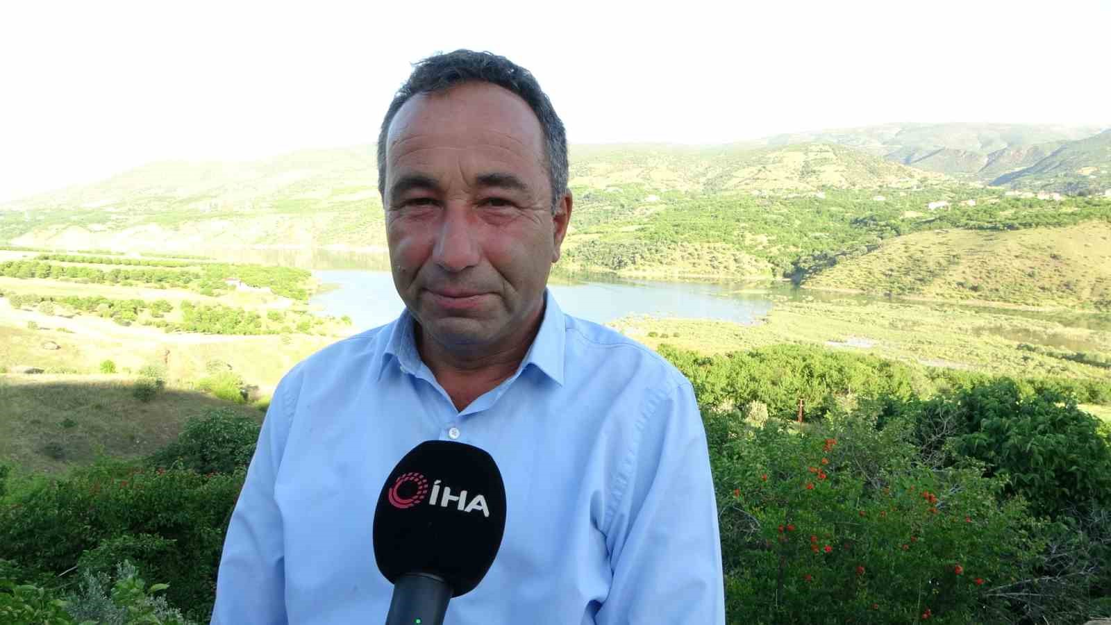 Erik ağacında yetişen kayısı g&ouml;renleri şaşırtıyor
