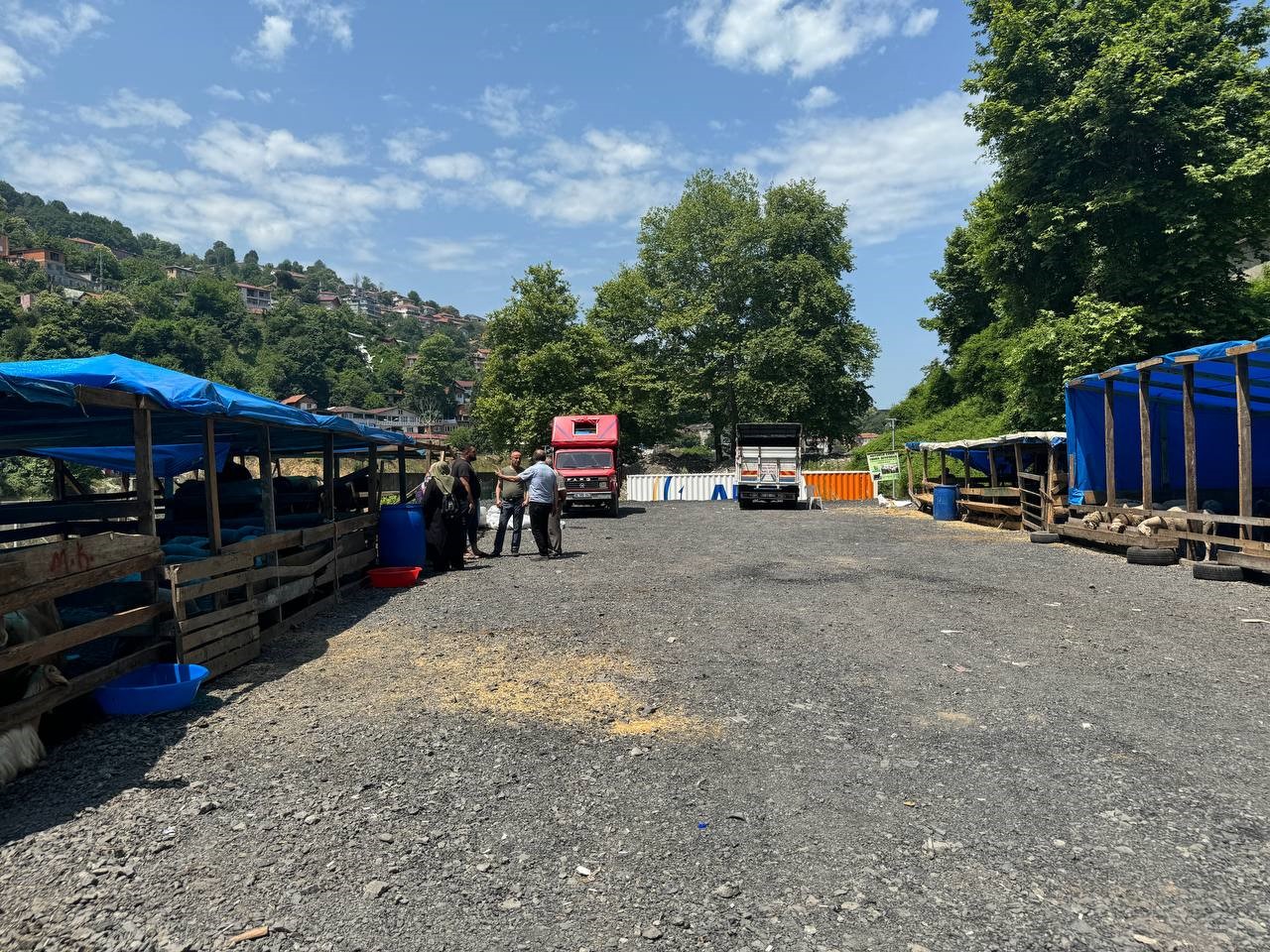 Zonguldak’ta kurban bayramına sayılı günler kala kurbanlık pazarında hareketlilik başladı