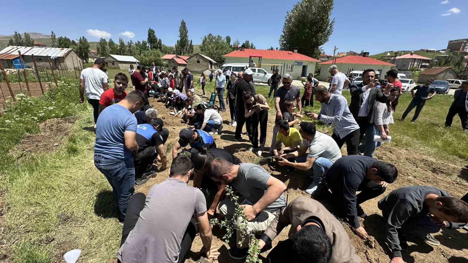 Yüksekova’da polis ve öğrenciler beraber fidan diktiler