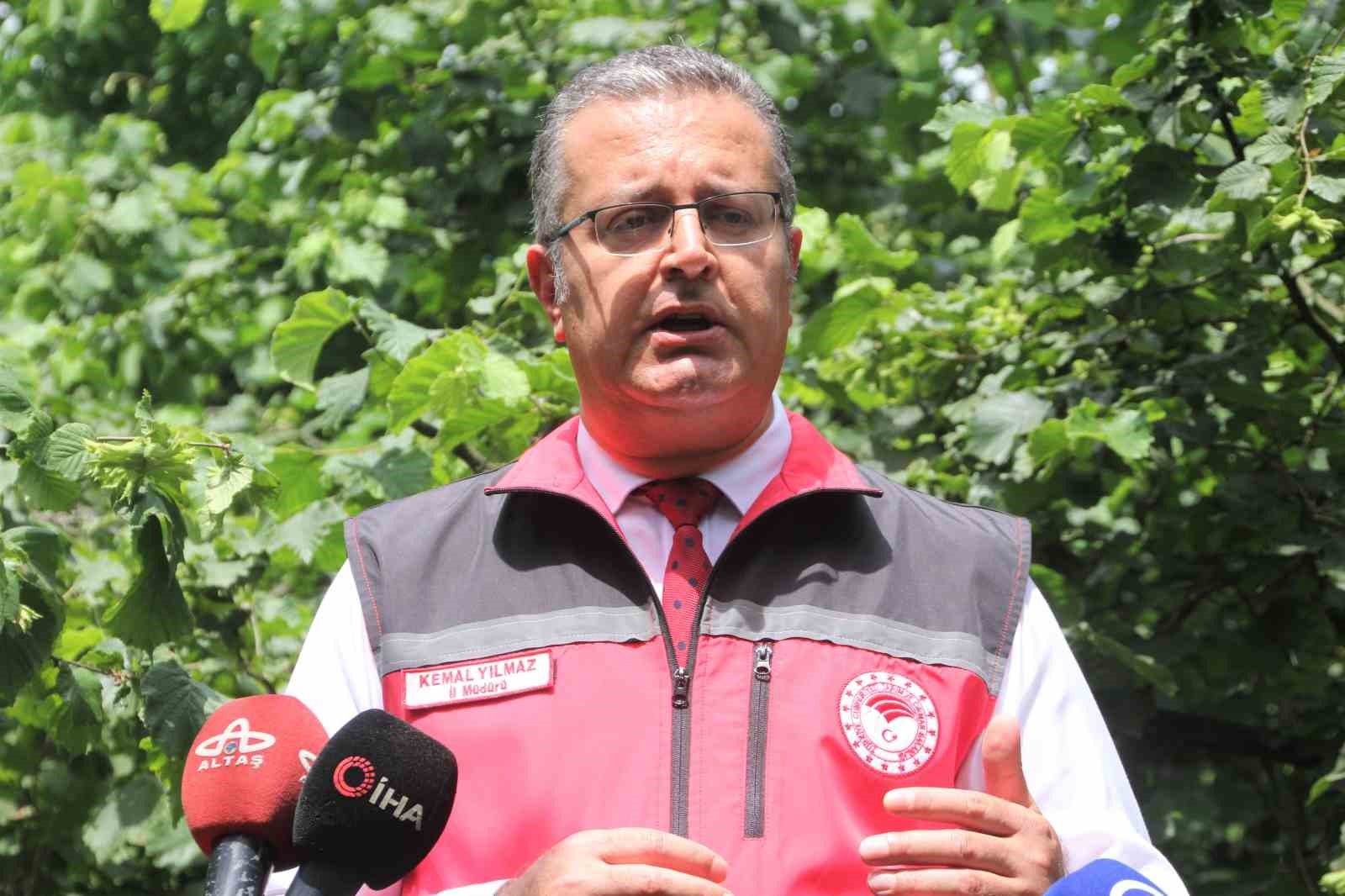 Ordu&rsquo;da 22 bin samuray arısı kahverengi kokarca ile m&uuml;cadele i&ccedil;in doğaya salındı
