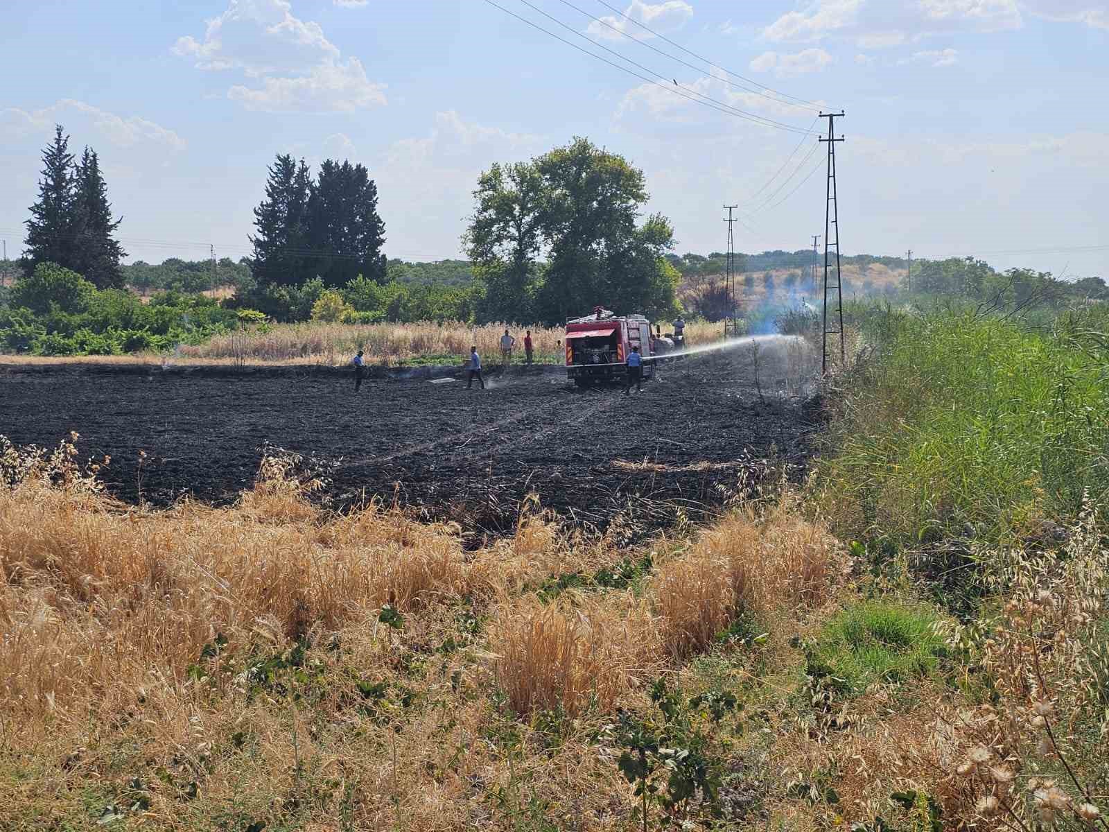 Gaziantep’te 10 dönüm buğday tarlası küle döndü
