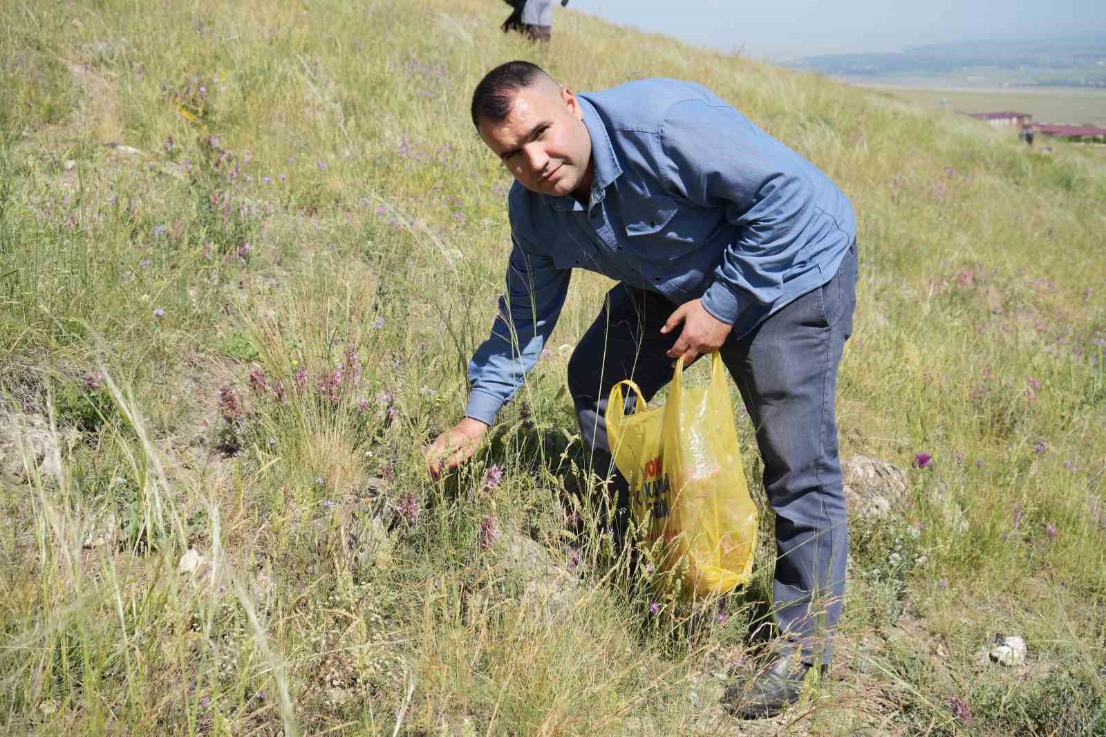 Ağrı Dağı eteklerinde toplanan bitkilerinden aromatik yağlar üretilecek
