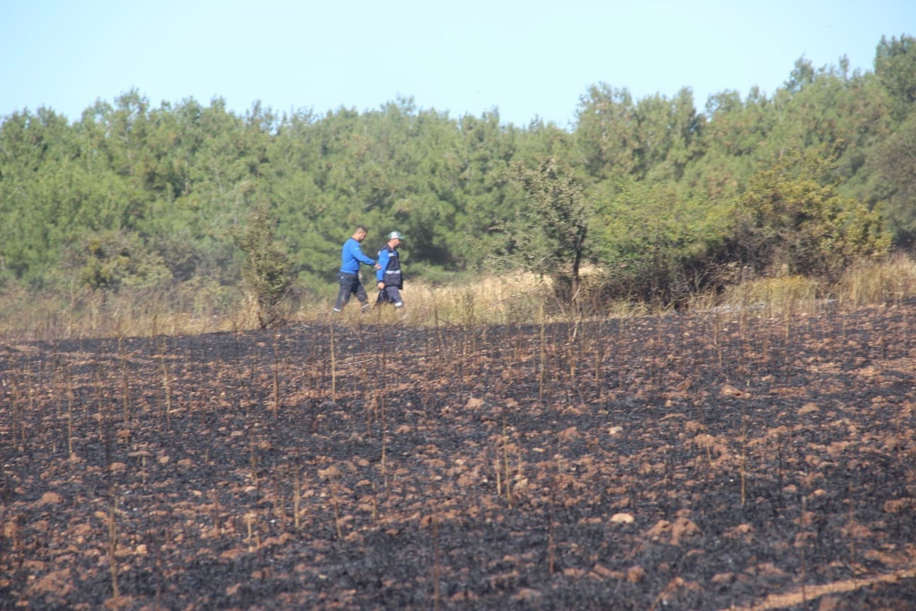 Bayrami&ccedil;&rsquo;te &ccedil;ıkan yangında 100 d&ouml;n&uuml;m alan zarar g&ouml;rd&uuml;
