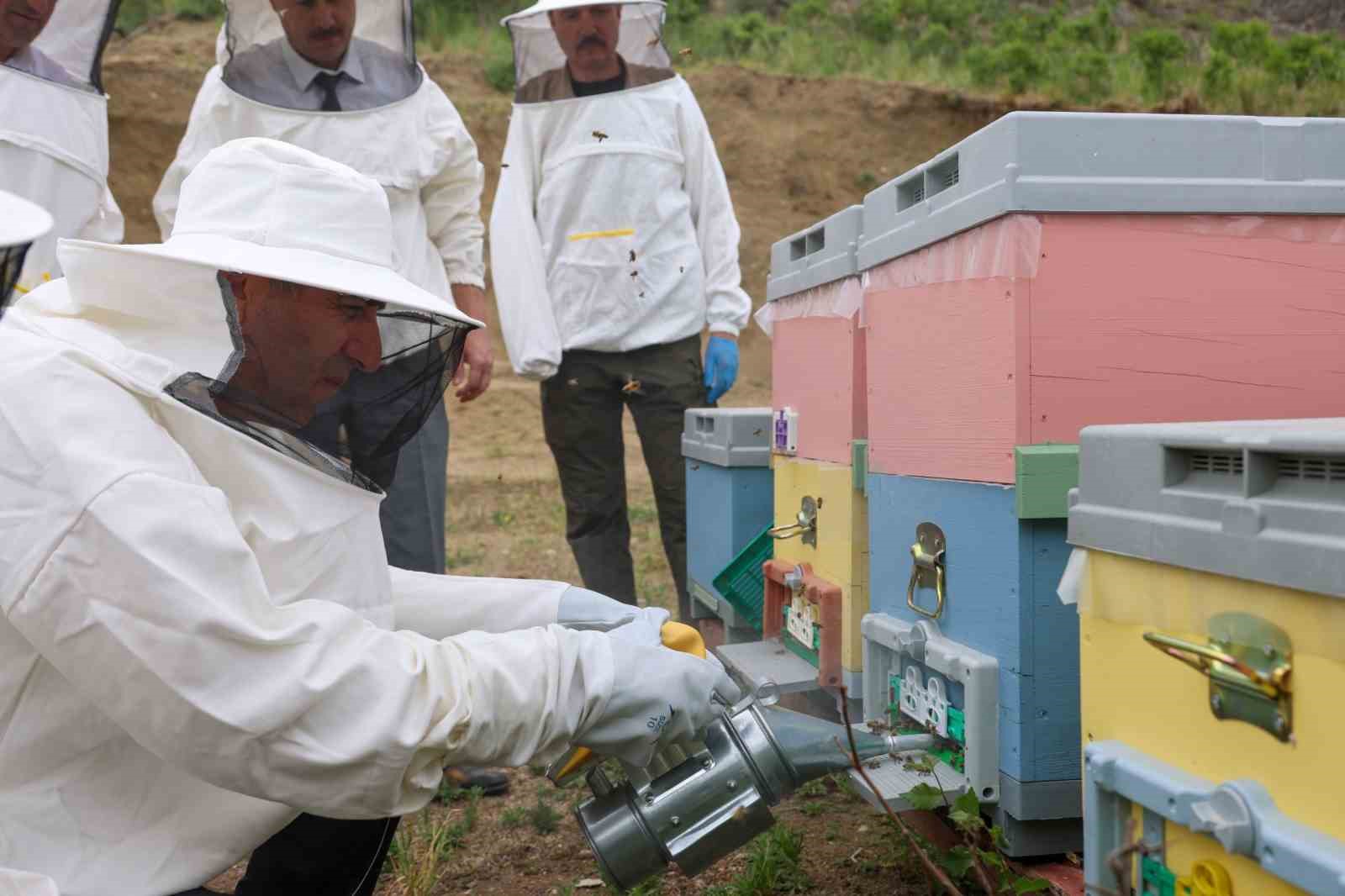 Bilecik&rsquo;te &lsquo;varroa&rsquo; ile topyek&ucirc;n m&uuml;cadele
