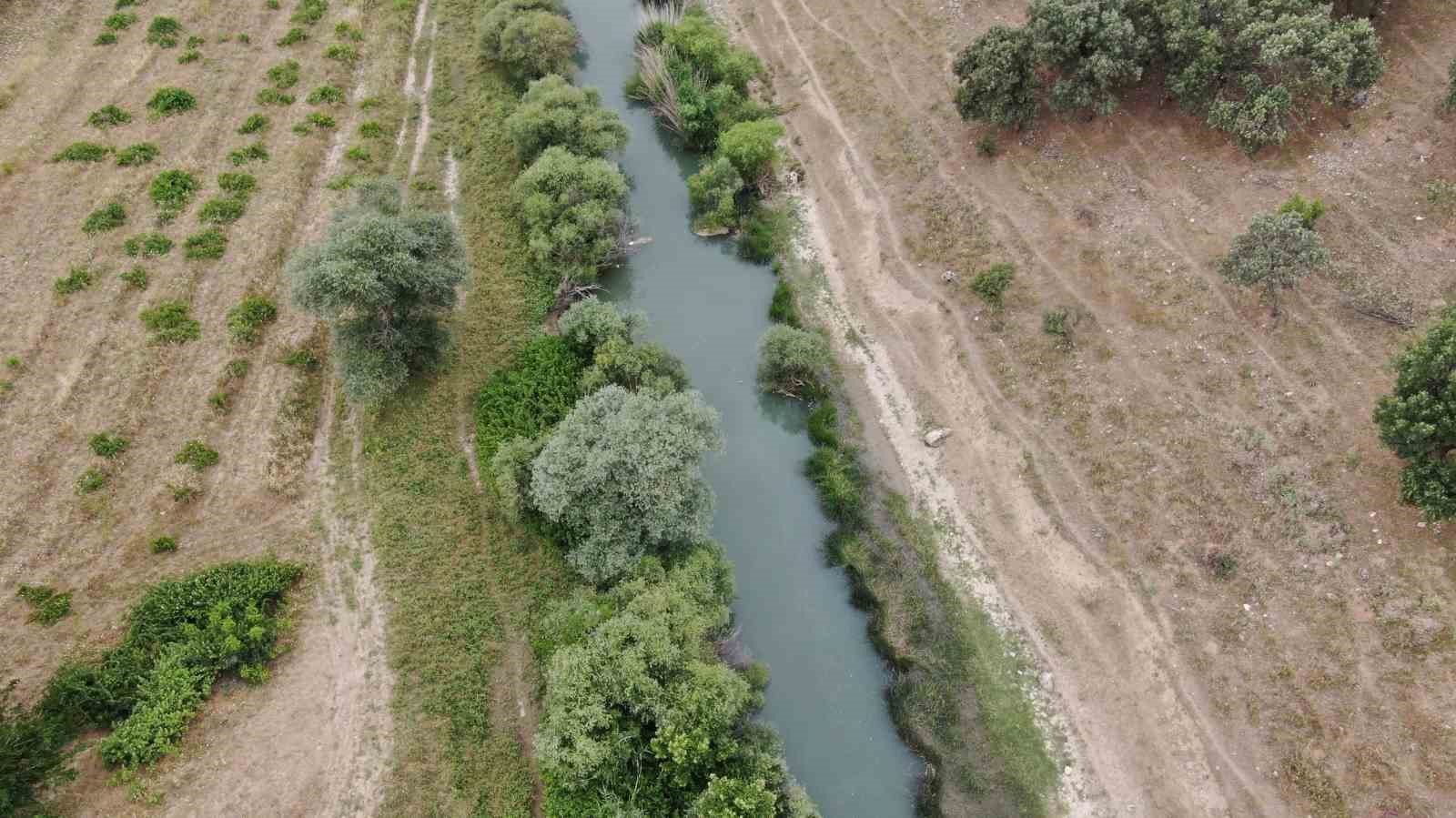 Diyarbakır’da sıcaktan bunalan vatandaşlar sulak ve serin yerleri tercih ediyor