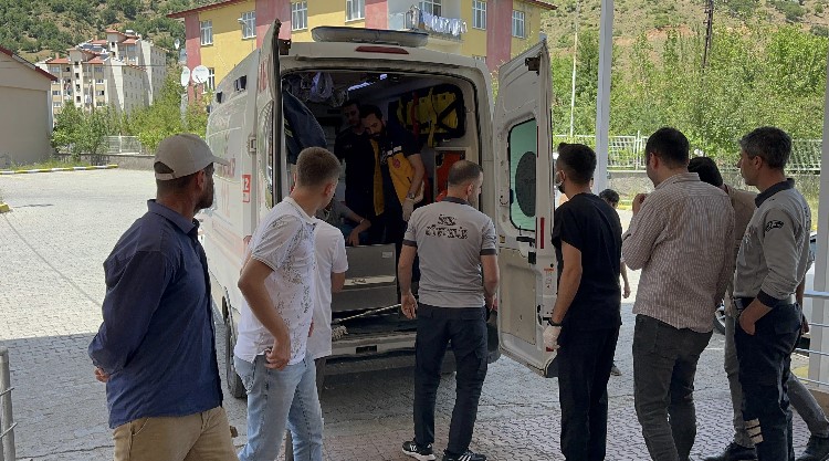 Bitlis&rsquo;te patpat devrildi: 8 yaralı
