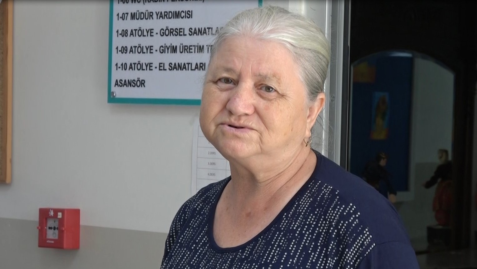 Bulgaristan se&ccedil;imleri i&ccedil;in Ayvalık ve &ccedil;evre il&ccedil;elerdeki &ccedil;ifte vatandaşlar sandık başına gitti
