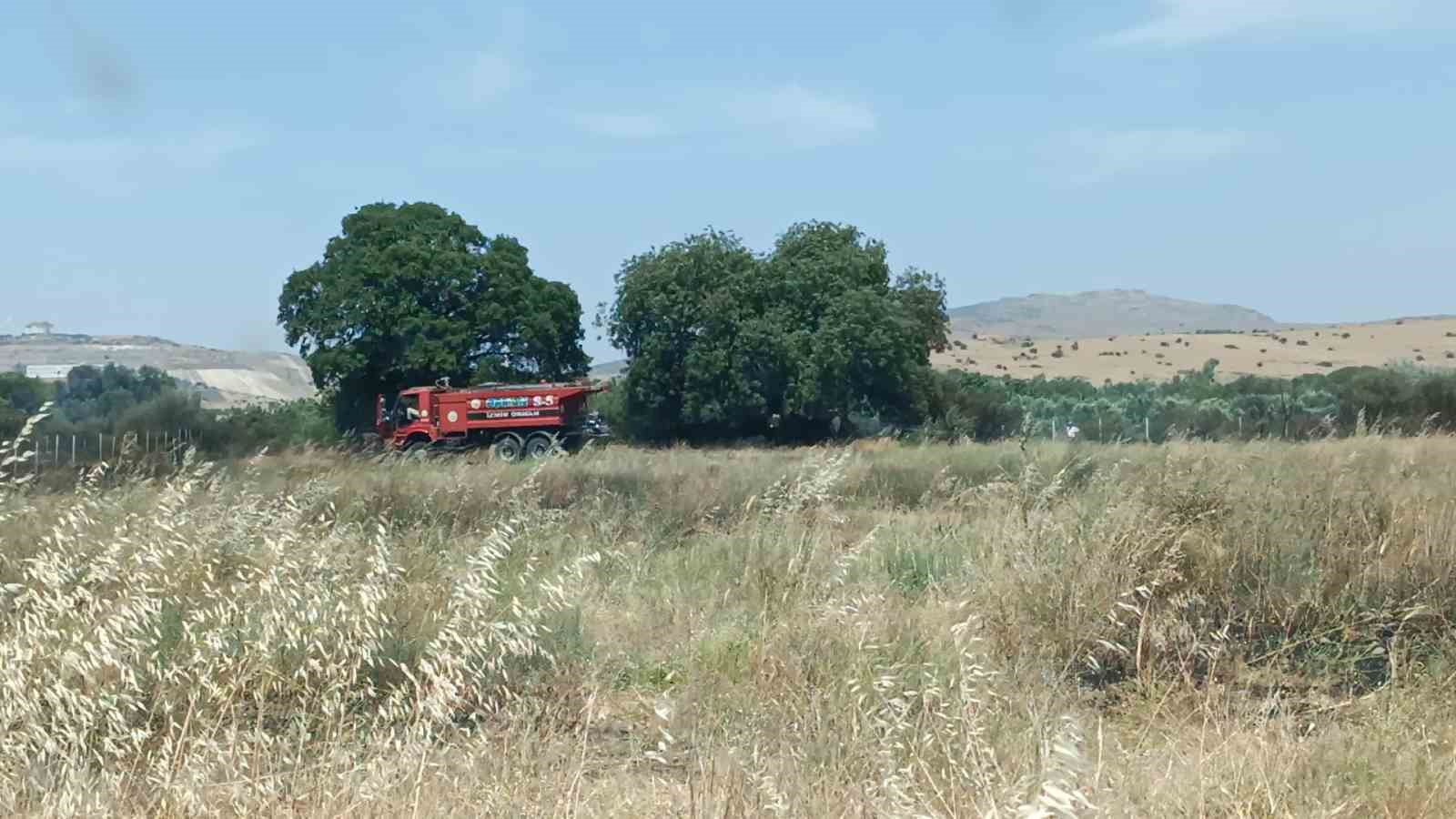 İzmir’de ekin tarlasında yangın: 30 dekar alan kül oldu