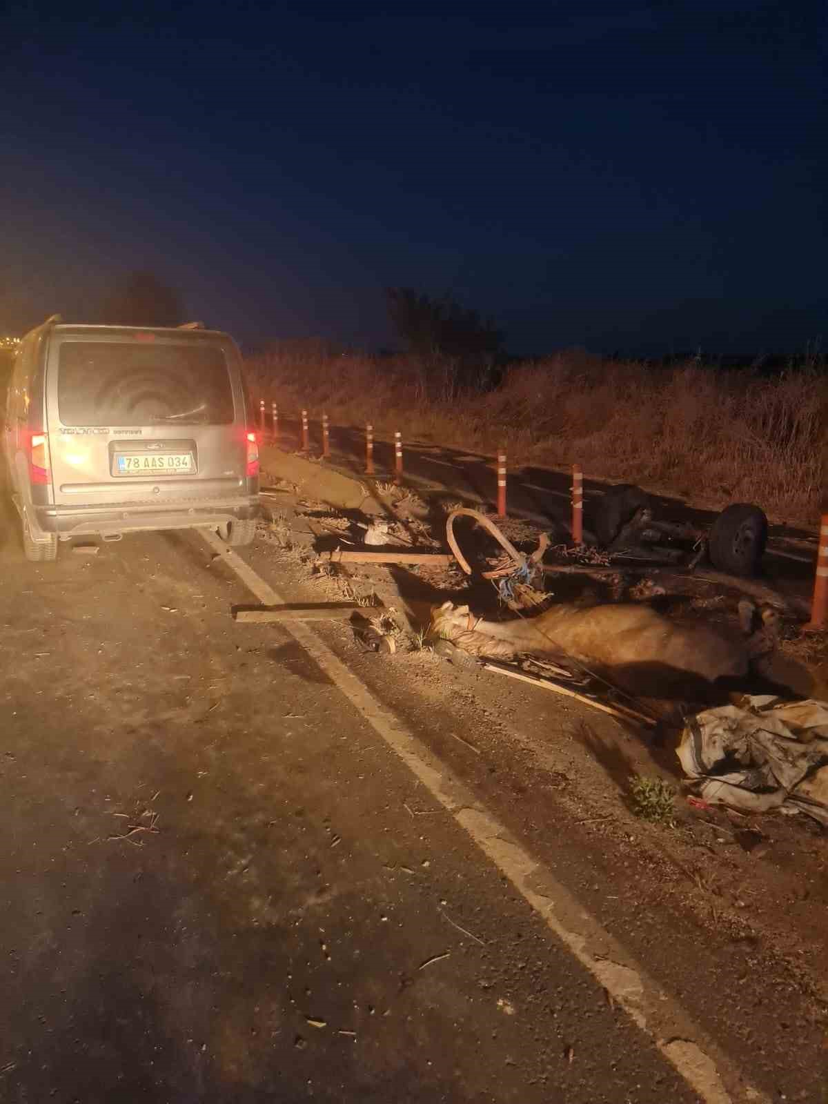 Otomobilin &ccedil;arptığı at telef oldu
