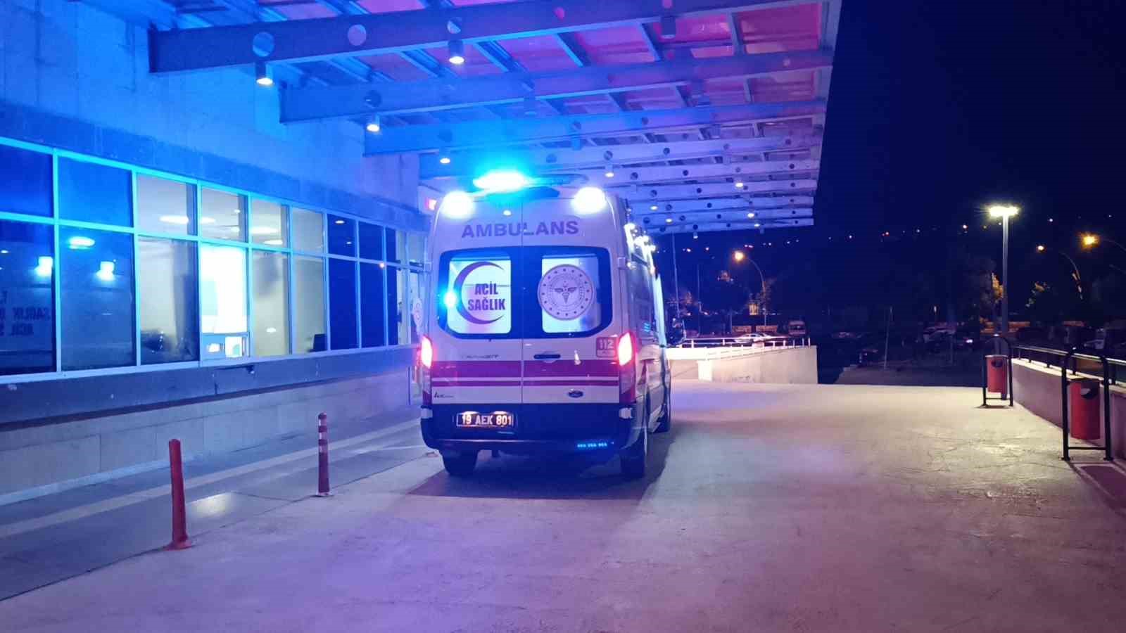 Erik toplamak için çıktığı duvardan düştü