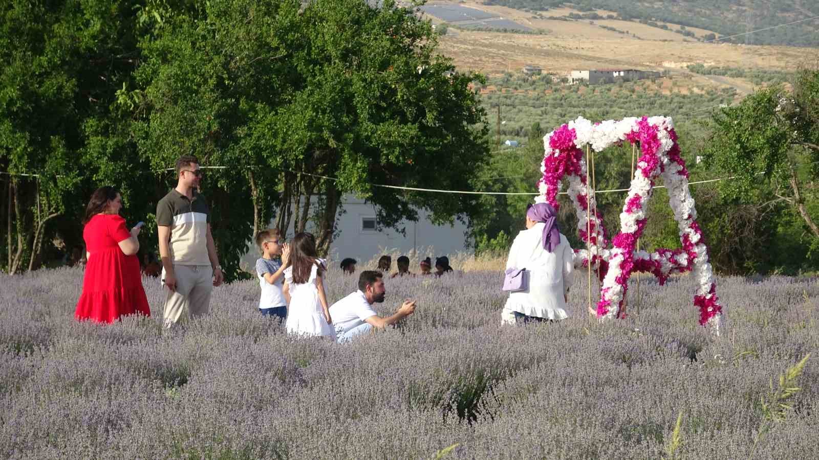 Kilisin ‘Mor’ bahçesine ziyaretçi akını
