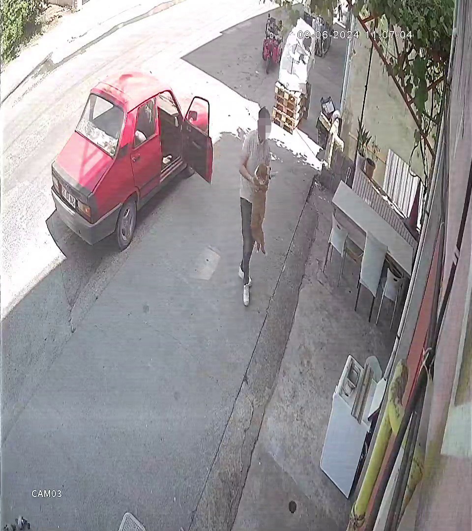 Hamile k&ouml;peği tanımadıkları evin &ouml;n&uuml;ne terk edip ka&ccedil;tılar
