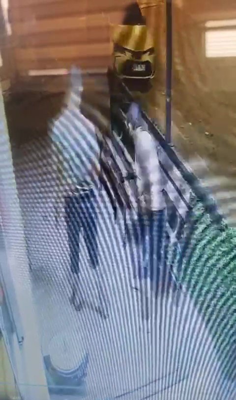 Antalya&rsquo;da &rsquo;rahatsız etme&rsquo; cinayetine 1 tutuklama
