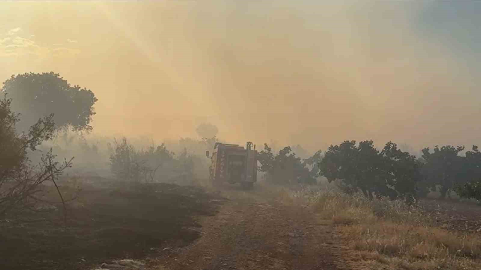 Gaziantep’te korkutan orman yangını