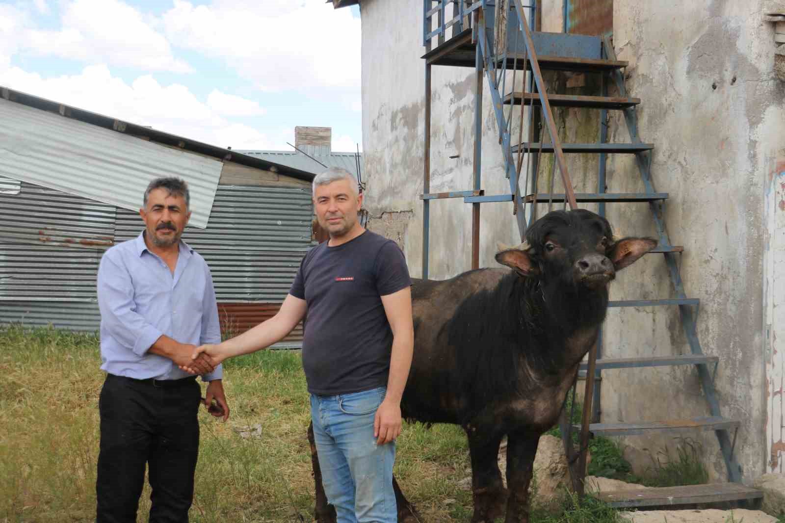 Bağışlar arttı kurbanlıklar pazarda kaldı İhlas Haber Ajansı