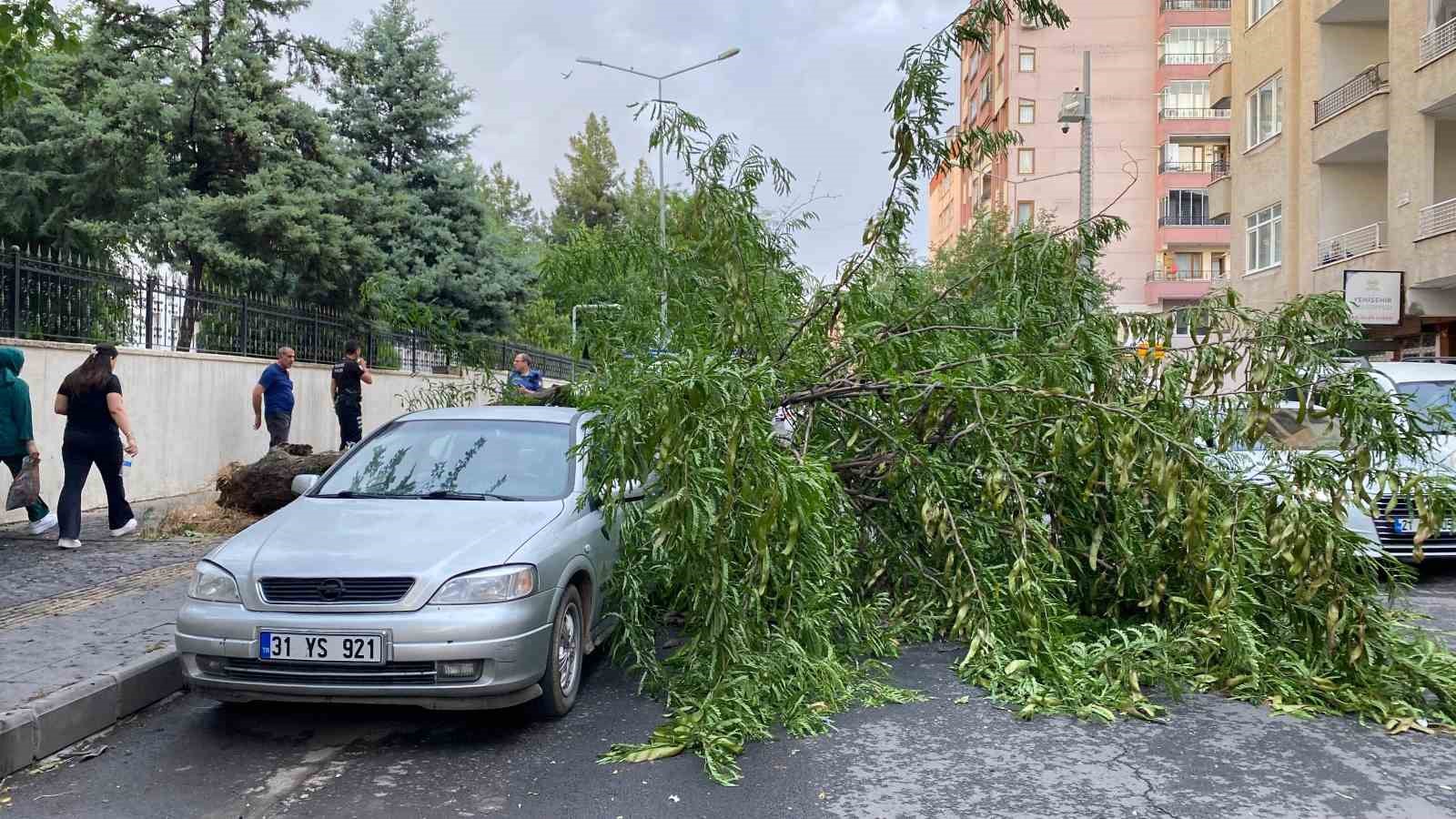 Diyarbakır’da dev ağaç otomobilin üstüne devrildi
