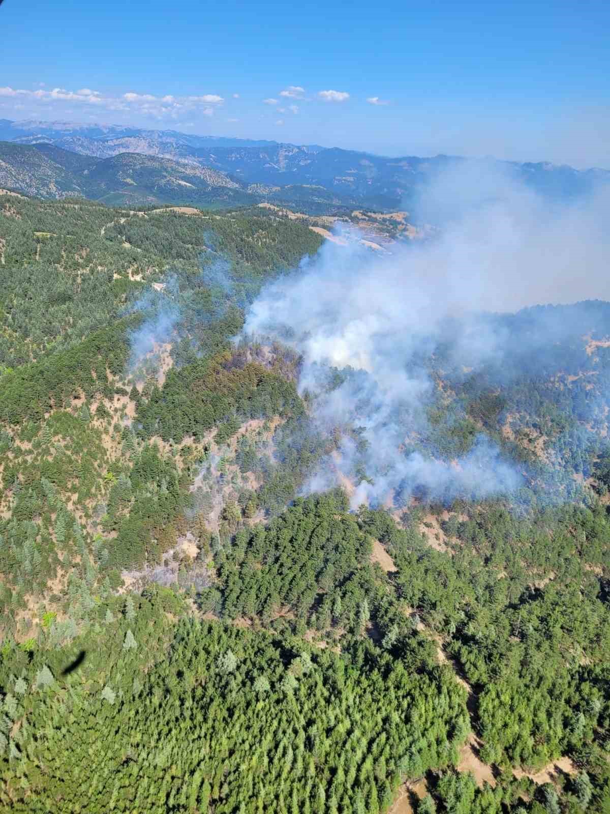 Adana&rsquo;daki orman yangını kontrol altına alındı
