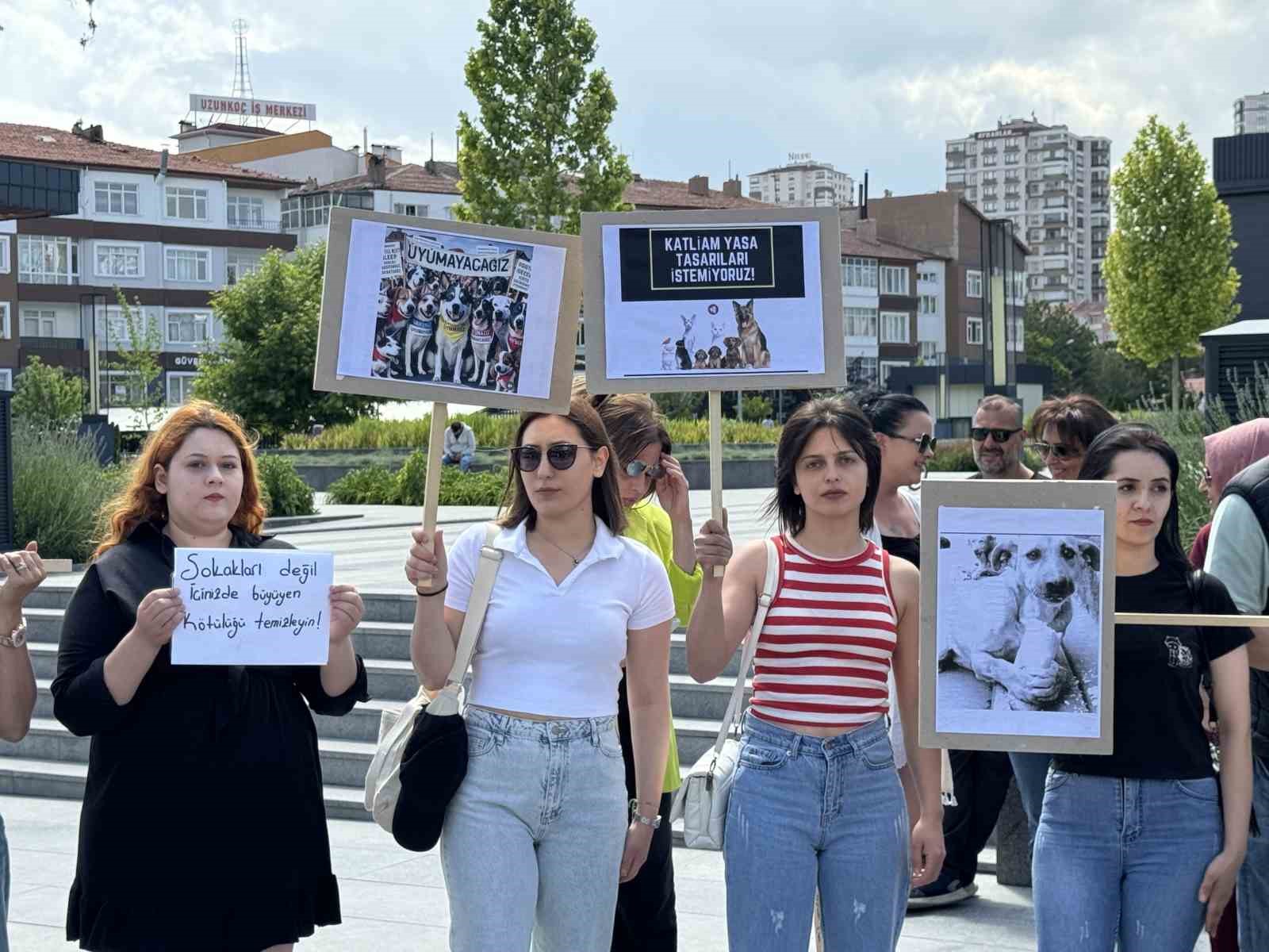 Hayvanseverlerden sokak hayvanları yasa teklifine tepki
