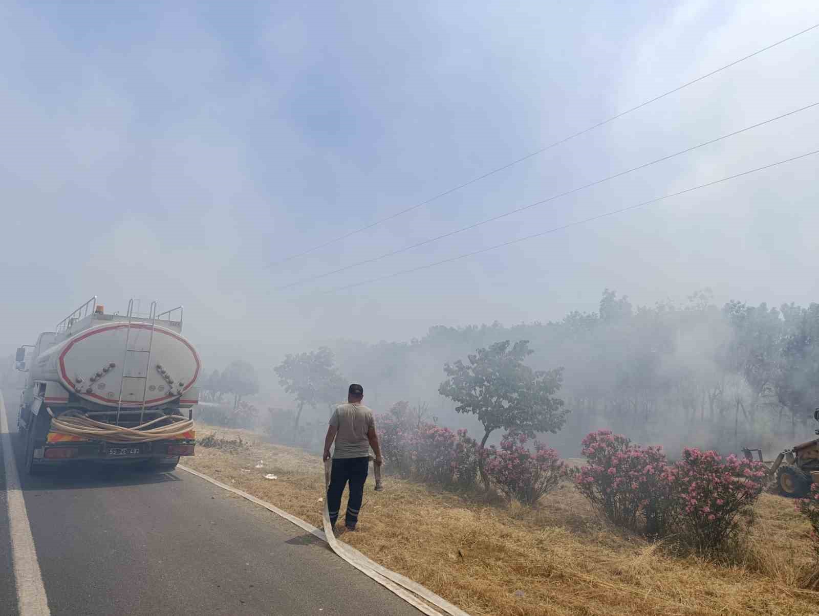 Hatıra ormanında yangın
