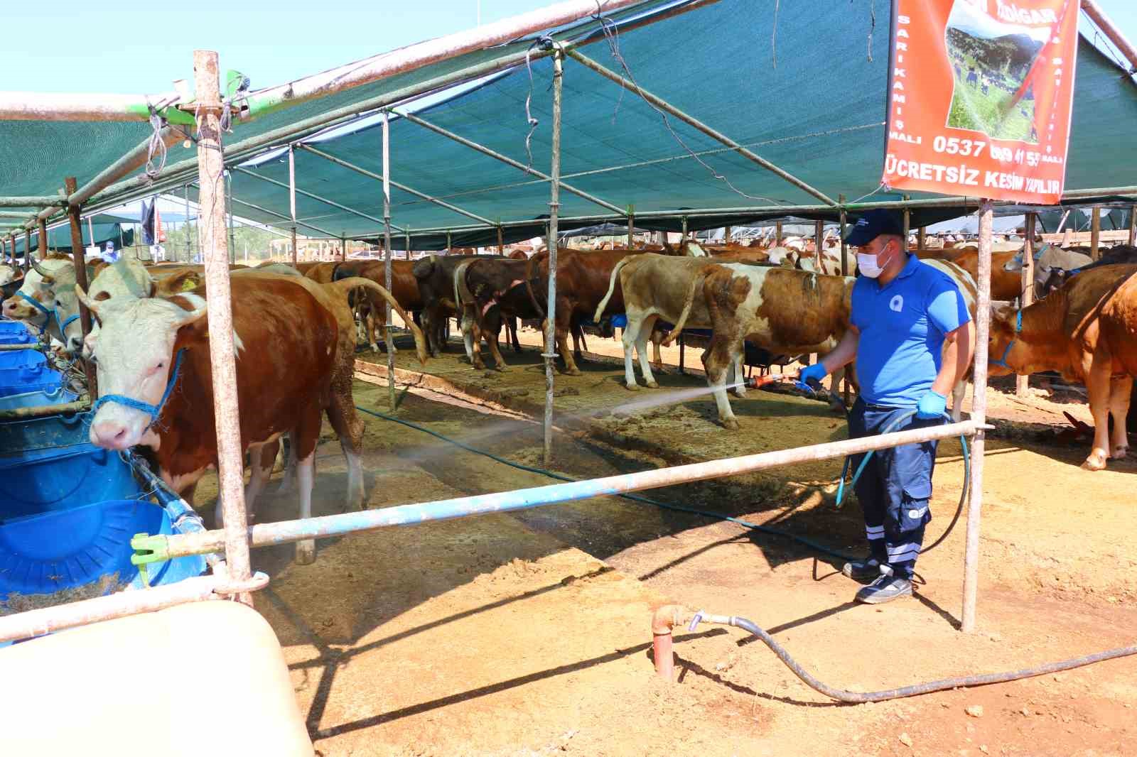 Büyükşehir kurban pazar yerlerini ilaçlıyor