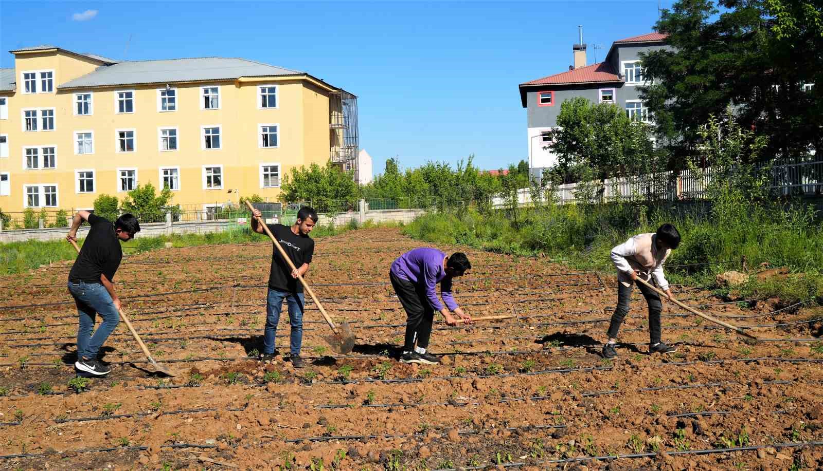 Öğrenciler kendi tarlalarında ilk fideleri toprakla buluşturdu
