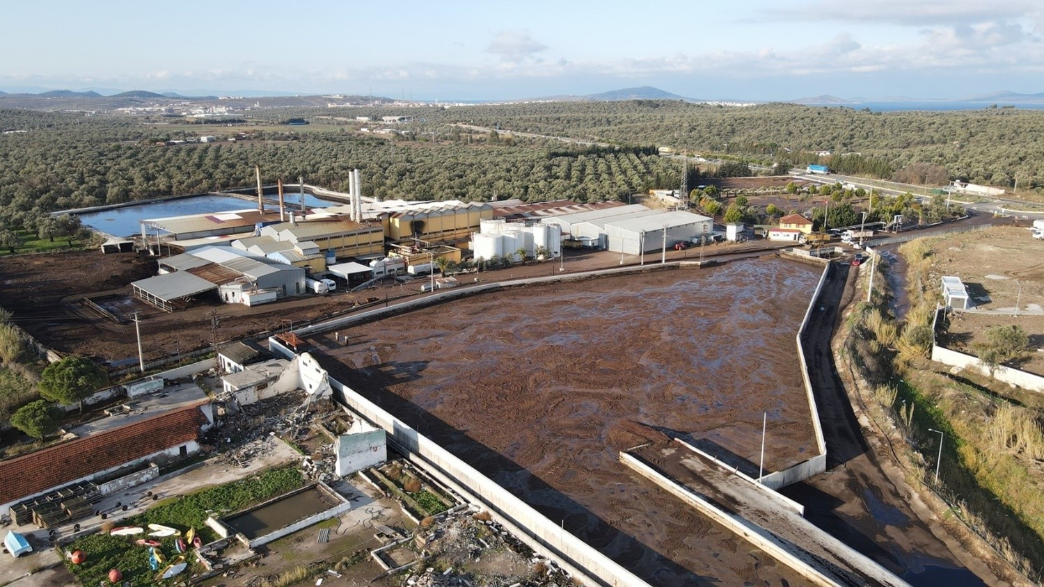 Ayvalık Belediyesi davayı kazandı: Çevreyi kirleten fabrikanın lisansına iptal kararı
