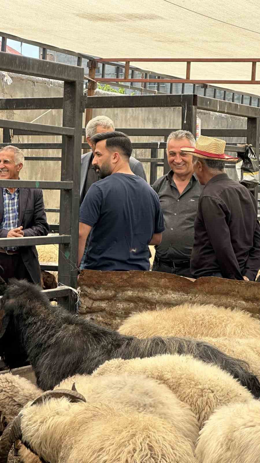 Y&uuml;ksekova&rsquo;da kurbanlıklar g&ouml;r&uuml;c&uuml;ye &ccedil;ıktı

