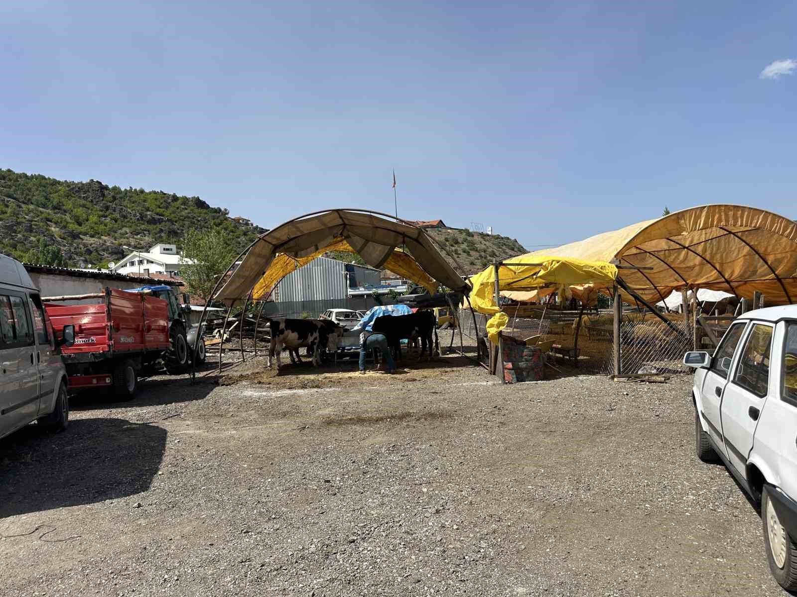 Kızılcahamam’da kurban pazarı kuruldu