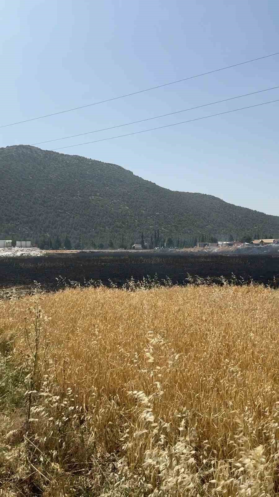 Burdur&rsquo;da &ccedil;ıkan arazi yangınında yaklaşık 25 dekar alan yandı
