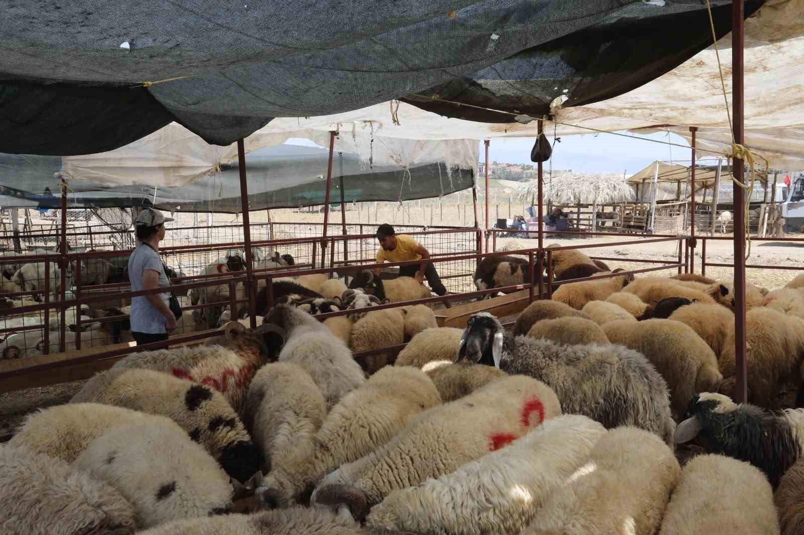 &Ccedil;ukurova&rsquo;da kurban satış alanları denetleniyor
