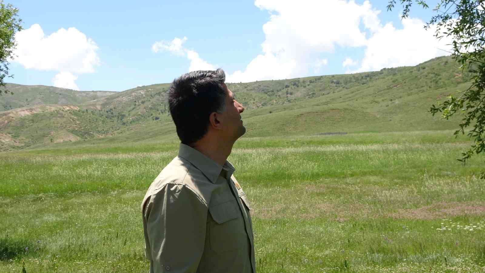 Kargaların saldırısına maruz kalan yavru baykuş i&ccedil;in seferber oldular
