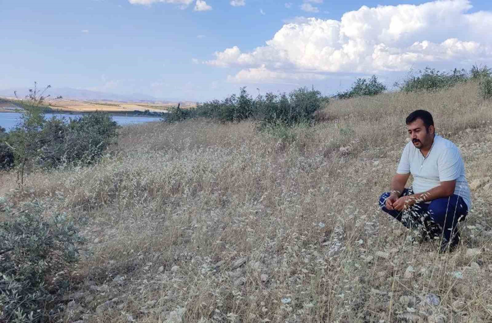 Tarlaya gidince g&ouml;zlerine inanamadı
