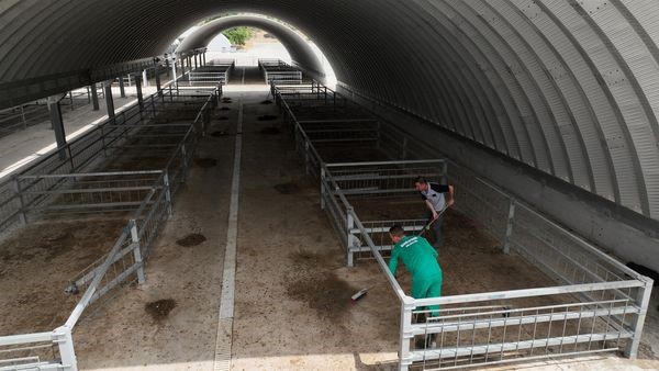 Hayvan Pazarı, kurbanlıklar i&ccedil;in hazırlandı
