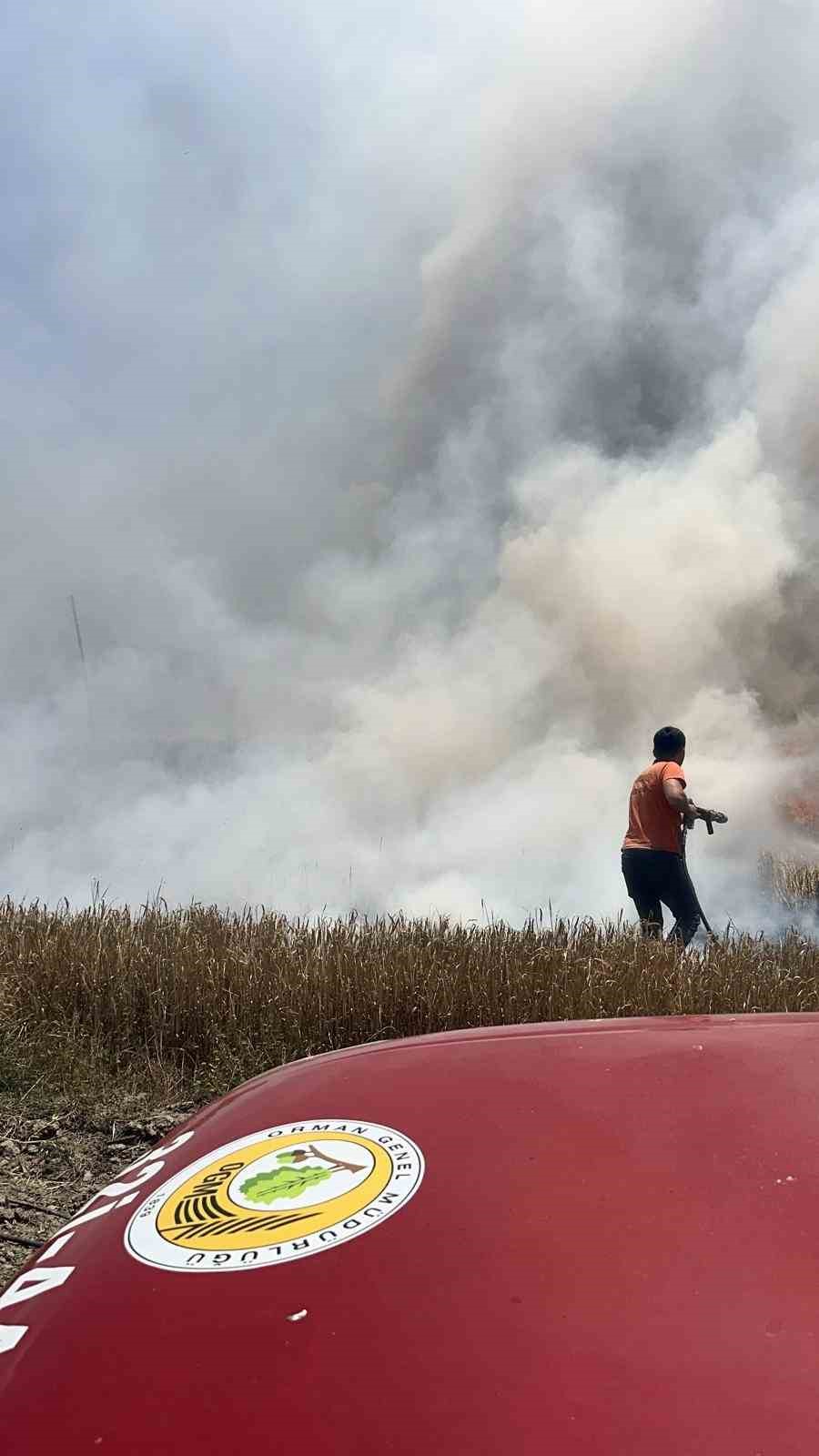 Burdur&rsquo;da bin d&ouml;n&uuml;m&uuml;n &uuml;zerinde ekin tarlası k&uuml;le d&ouml;nd&uuml;
