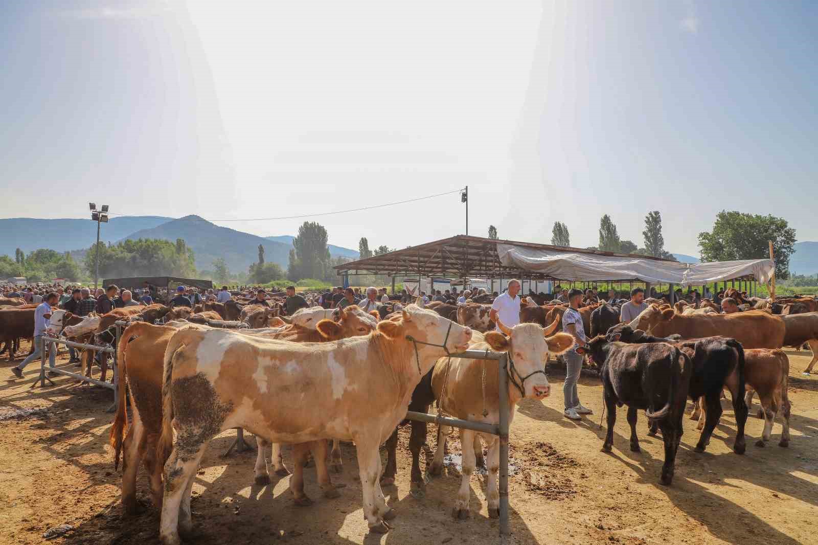 Başkan Ural, Kurban Bayramı hazırlıklarını inceledi
