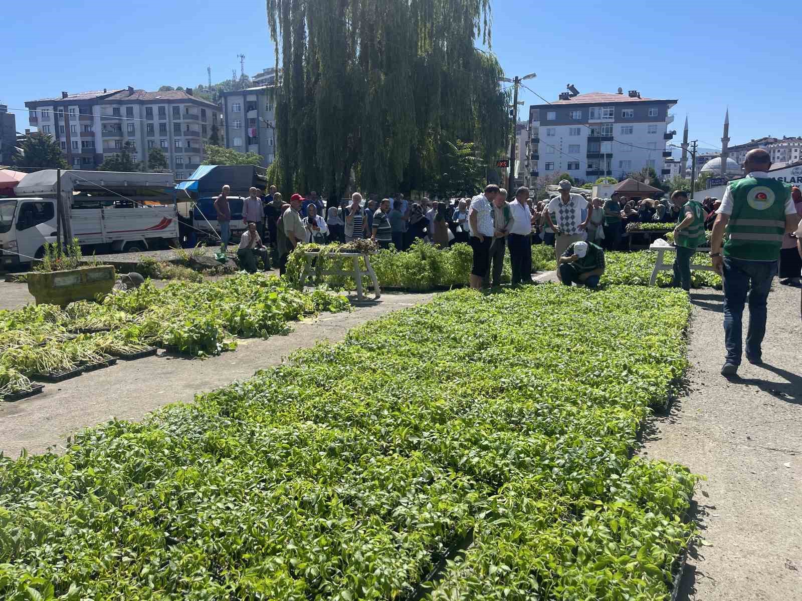 Rize’de ata tohumlarından üretilen 40 bin sebze fidanı vatandaşlara dağıtıldı