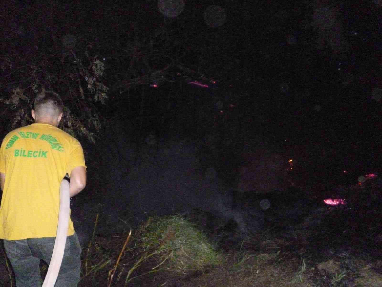 Göksu nehri kenarında çıkan yangın kısa sürede söndürüldü