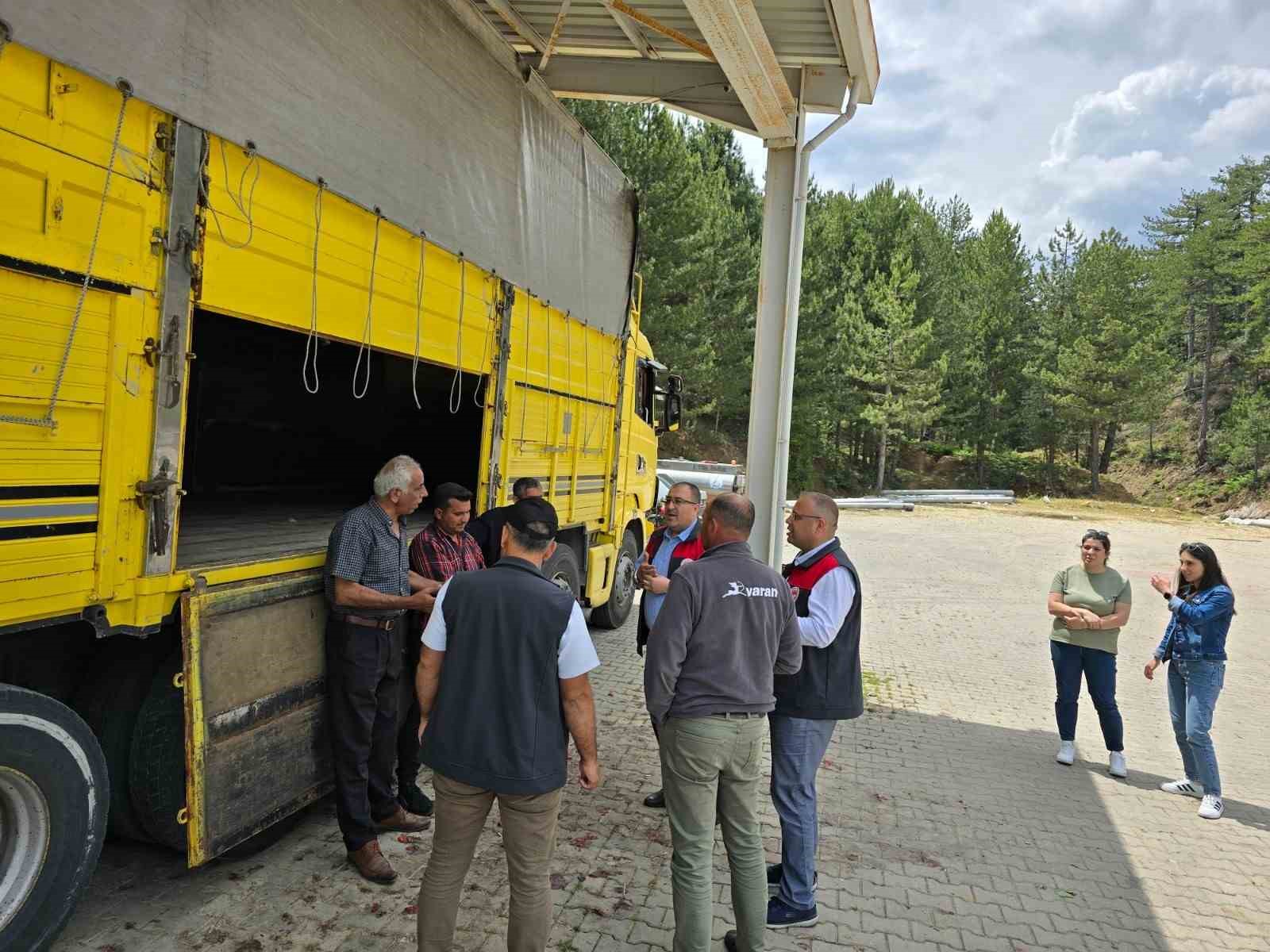 Denizli çilek üretiminde önemli bir konuma ulaştı