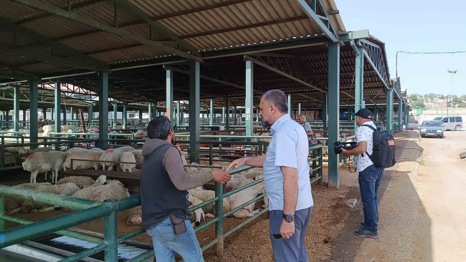 Malatya&rsquo;da kurbanlıklar alıcılarını bekliyor
