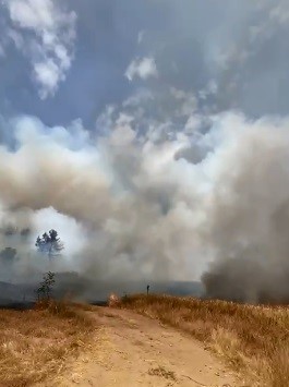 &Ccedil;anakkale&rsquo;de orman yangını
