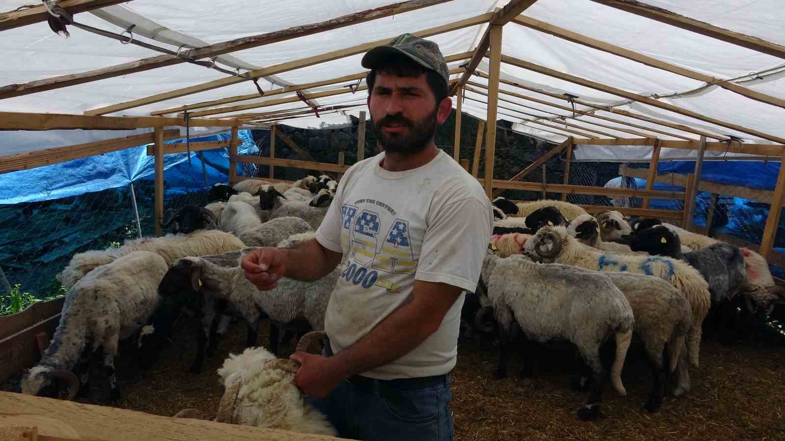 Kurban satıcıları, yurtdışı bağışlardan ve marketlerden şikayetçi
