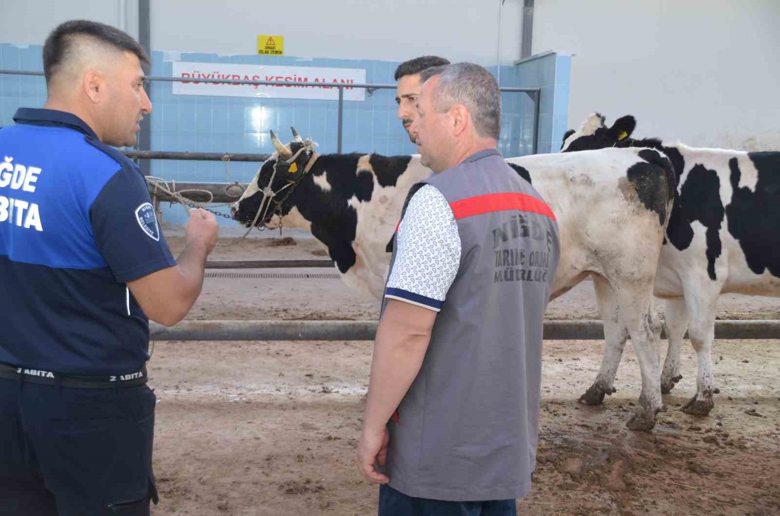 Niğde’de kurbanlık hayvan satış yerleri denetleniyor